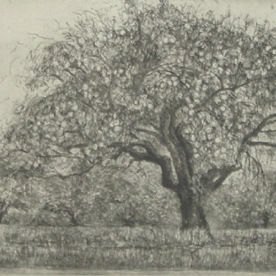 Moishe Smith "Green Apples" 1972 etching