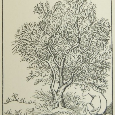 Illustration #2 for Les Géorgiques by Aristide Maillol, 1937-43 Wood Engraving