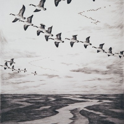 Geese over the Marshes by Hans Kleiber, 1948 Etching