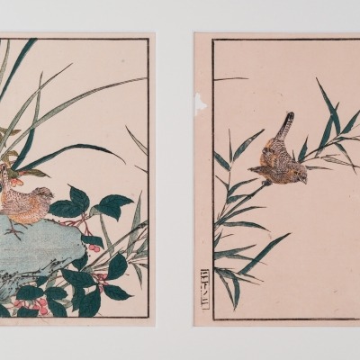 Untitled Woodblock Prints by Kitao Shigemasa 