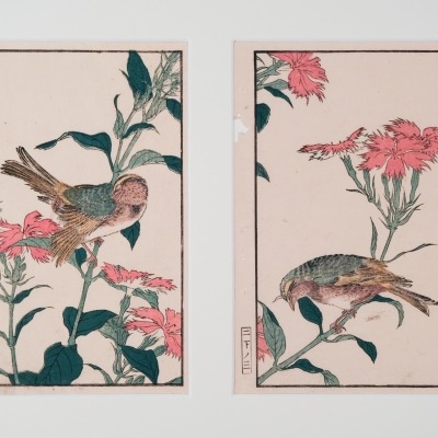 Untitled Woodblock Prints by Kitao Shigemasa 