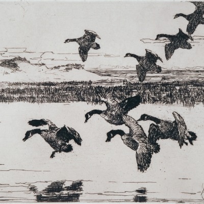 Tired Geese by Frank Benson,1936 Etching