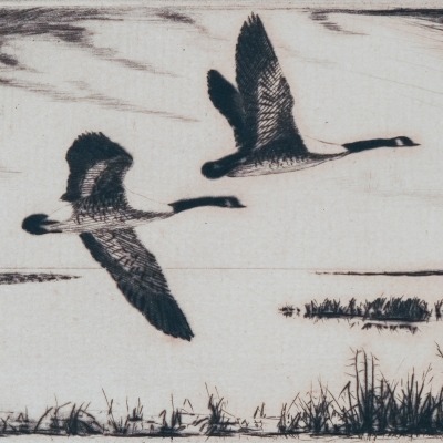 Honkers by Churchill Ettinger, 1948 Etching