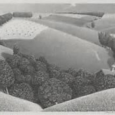 July Fifteenth by Grant Wood, Lithograph 1938