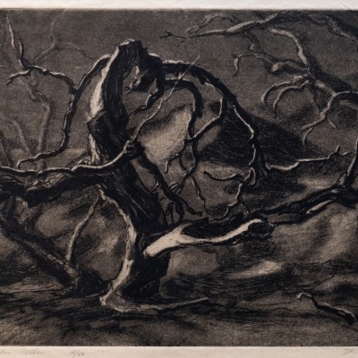 Drought Stricken Willows by Dwight Kirsch, 1936 Aquatint