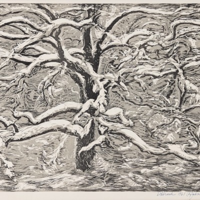 Oak Tree in Winter - Dwight Kirsch